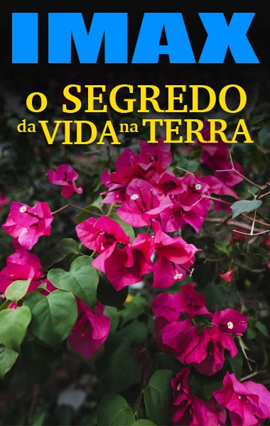 O Segredo da Vida na Terra