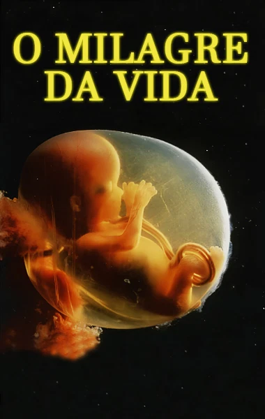 O Milagre da Vida