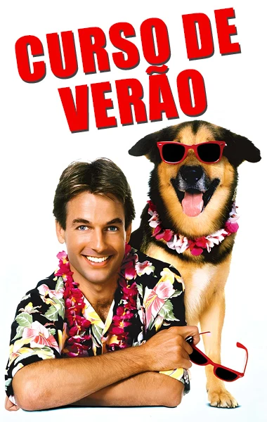 Curso de Verão